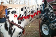 DIY-Christmas-Bow-Mane-Braids