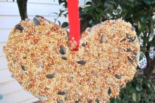 DIY-Bird-Feeder-Valentine