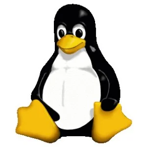 LINUX KERNEL