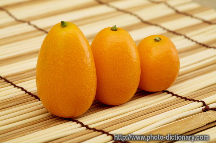 kumquat - photo/picture definition - kumquat word and phrase image