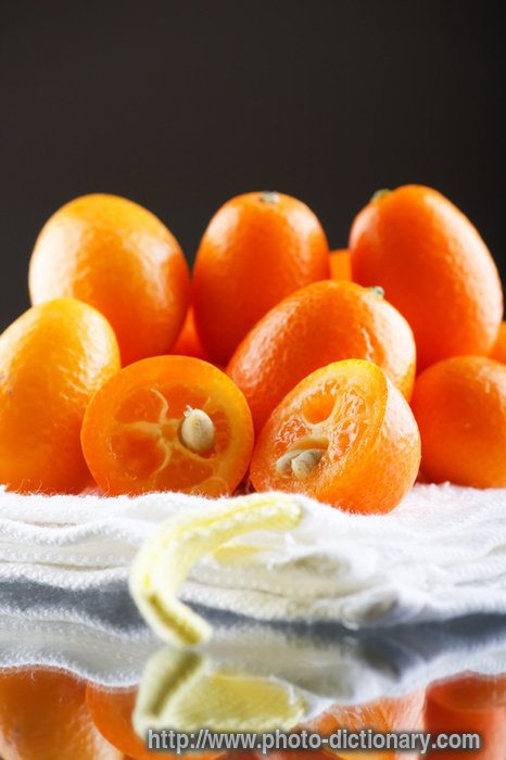 kumquat - photo/picture definition - kumquat word and phrase image