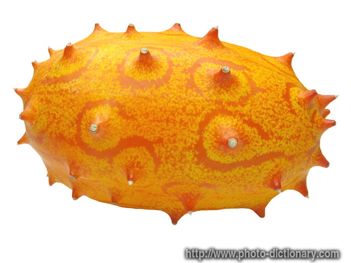 kiwano melon - photo/picture definition - kiwano melon word and phrase image