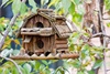 bird box - photo/picture definition - bird box word and phrase image