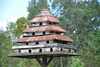 bird palace - photo/picture definition - bird palace word and phrase image