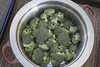 chopped broccoli - photo/picture definition - chopped broccoli word and phrase image