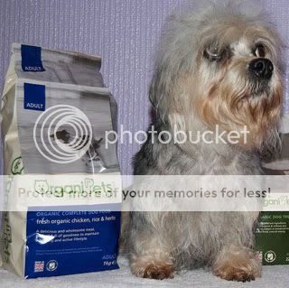 poza caine dandie dinmont terrier angajat in advertising