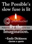 The Possible is lit by the Imagination. Emily Dickinson quote at DailyLearners.com