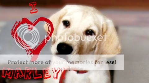 I Love Marley Pictures, Images and Photos