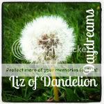 Liz of Dandelion Daydreams