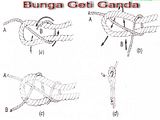 Bunga Geti Ganda