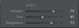 How To Create And Control Natural Grain In Lightroom 3 — Photoshop Lightroom 3 Tutorial