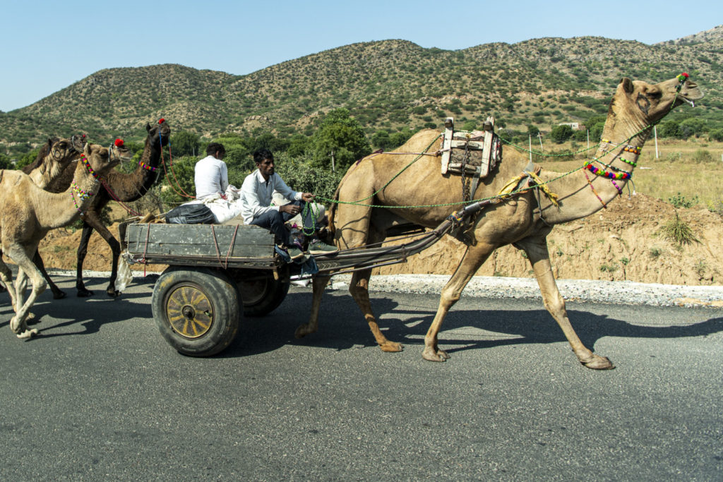 SUR LES ROUTES EN INDE