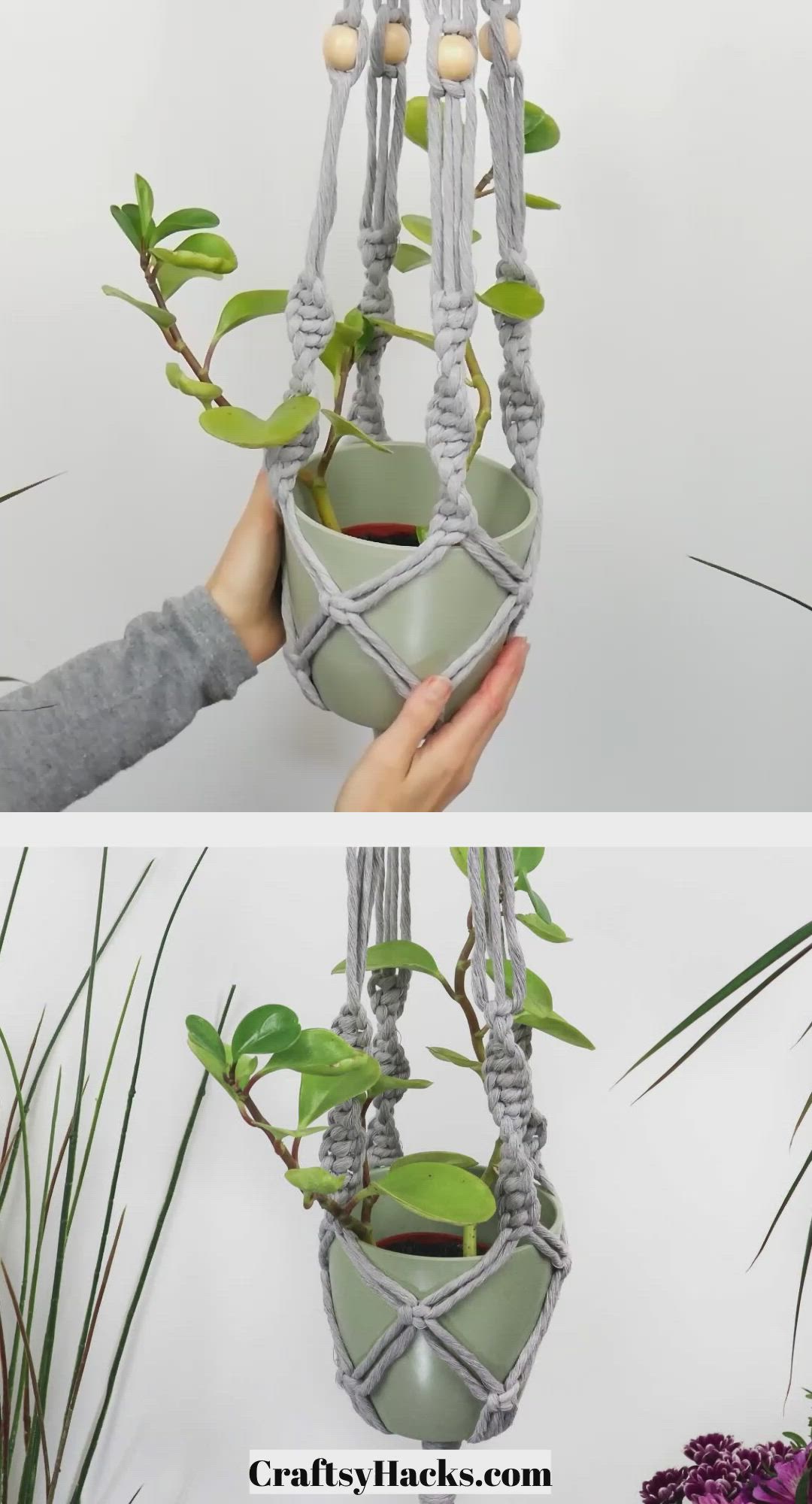 This contains: DIY Macrame Plant Hanger