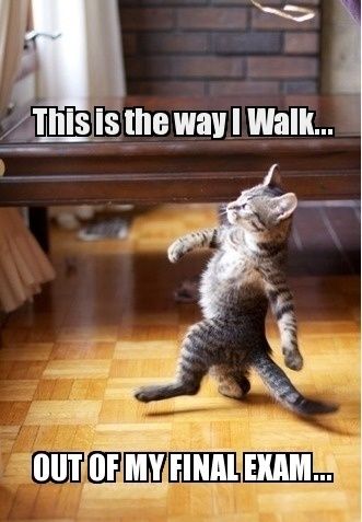 this is the way I walk out of my final exam