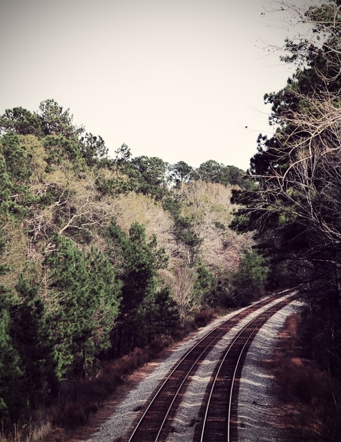 Train Tracks #savannah #georgia | Tracks out of town | Pinterest