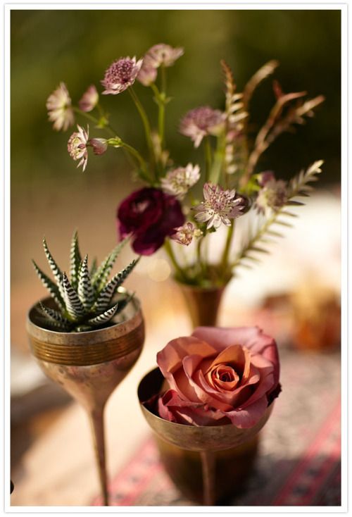 Bohemian summer garden party. Thorns and roses and succulents. The way it should be.