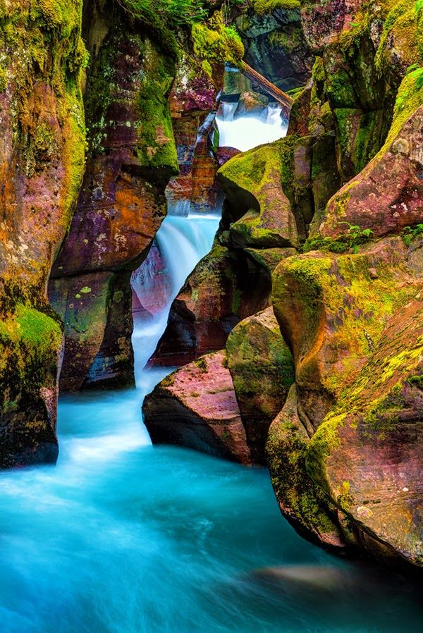 Narrow Stream in Glacier National Park, Montana United States