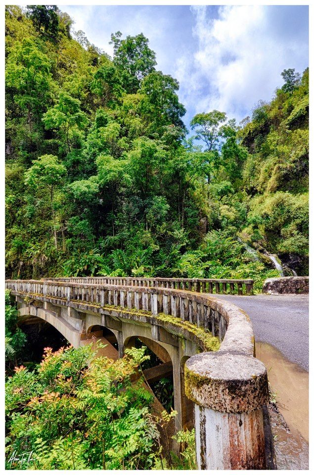 The Road to Hana, Maui, Hawaii.This was the scarest car ride I have ever been on but it was WELL WORTH the stress..Beautiful waterfalls all the way through the rain forest..