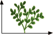 Plant habit