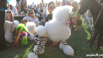 Yappy Howl-O-Ween at The Ritz Carlton Laguna Niguel