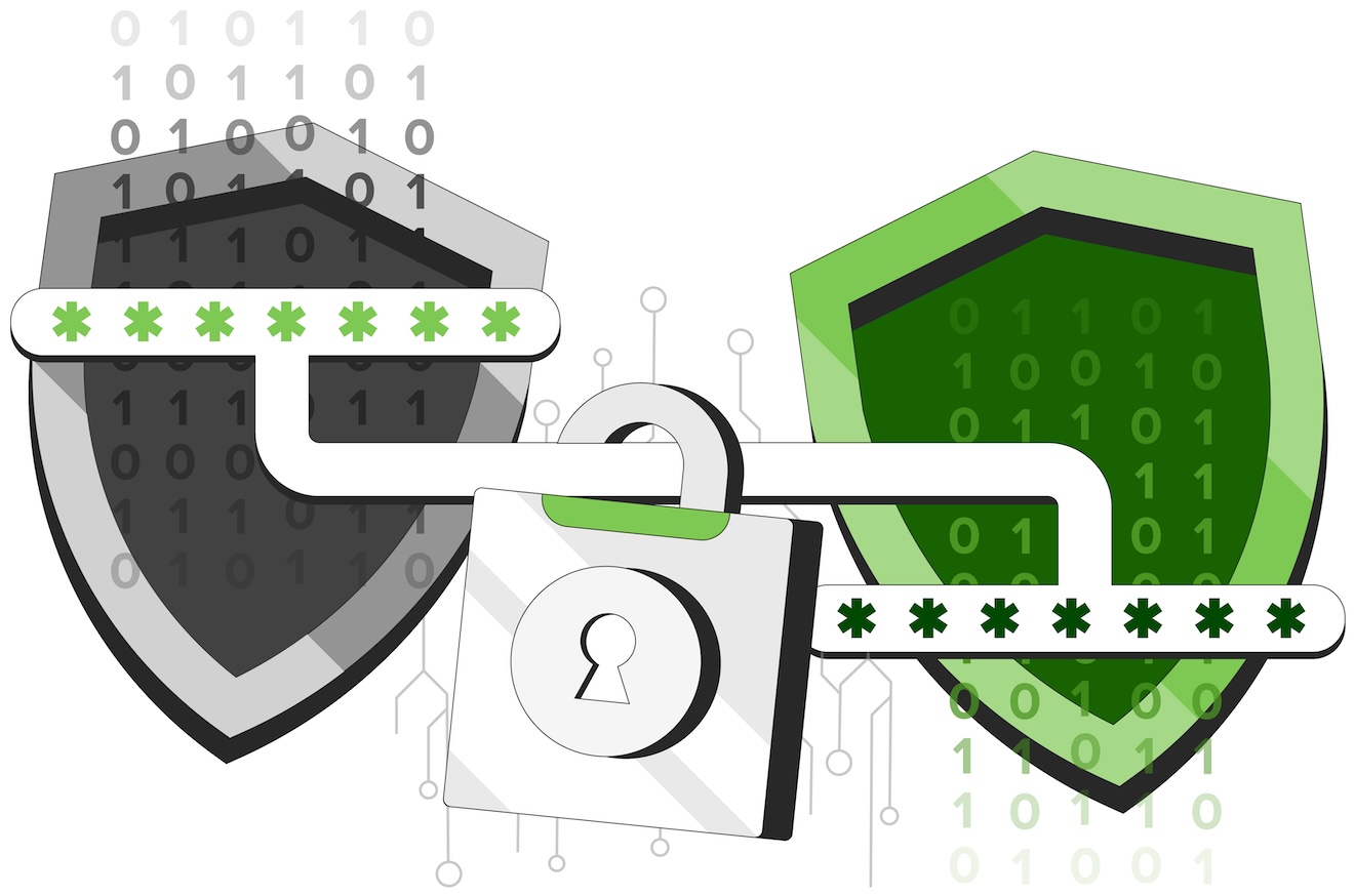 two encrypted shields connected by a lock in the middle enforced by passwords/secret keys