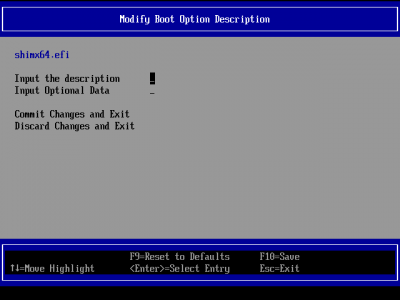 Modify Boot Option