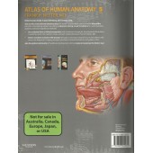 Atlas Of Human Anatomy