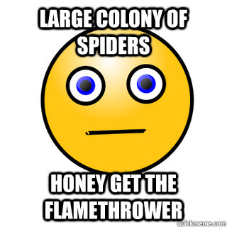 Large Colony of Spiders Honey get the Flamethrower  Spider Flamethrower