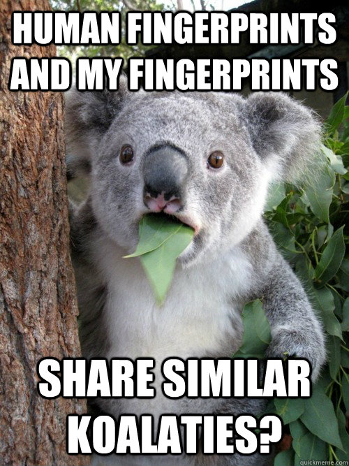 human fingerprints and my fingerprints share similar koalaties?  