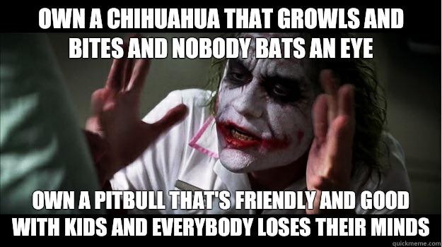 Own a Chihuahua that growls and bites and nobody bats an eye Own a pitbull that's friendly and good with kids and everybody loses their minds  