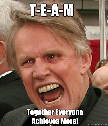 T-E-A-M Together Everyone Achieves More!   Gary Busey