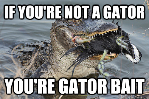 if you're not a gator you're gator bait - if you're not a gator you're gator bait  Misc