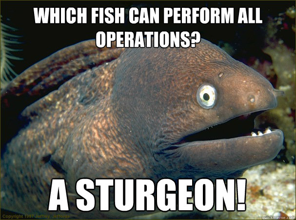 Which fish can perform all operations? a sturgeon! - Which fish can perform all operations? a sturgeon!  Bad Joke Eel