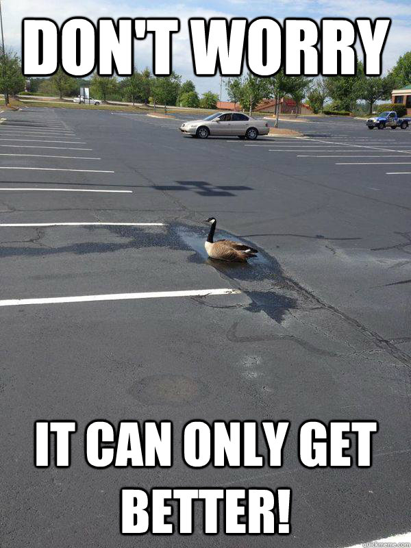 Don't worry It can only get better! - Don't worry It can only get better!  Optimistic Goose