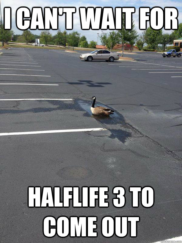 I can't wait for Halflife 3 to come out  