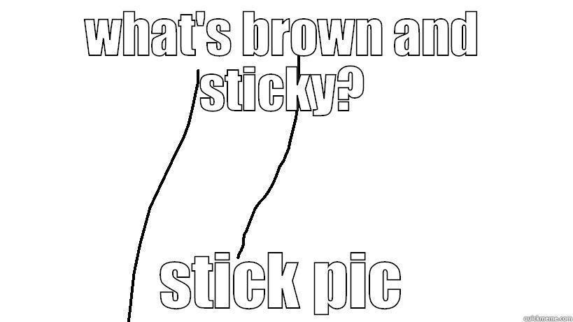 WHAT'S BROWN AND STICKY? STICK PIC Misc