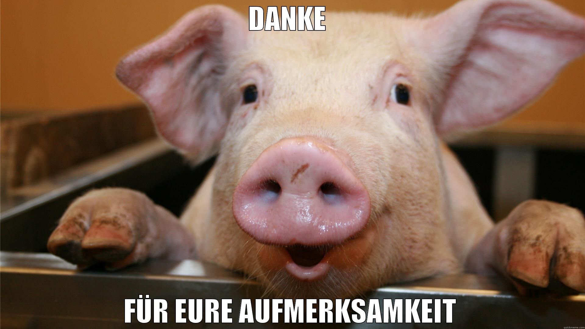 Just a picture for myself. Not intended to be funny or anything. - DANKE  FÜR EURE AUFMERKSAMKEIT Misc