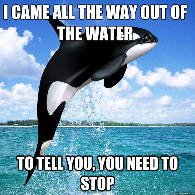 I CAME ALL THE WAY OUT OF THE WATER TO TELL YOU, YOU NEED TO STOP - I CAME ALL THE WAY OUT OF THE WATER TO TELL YOU, YOU NEED TO STOP  Kokomoor Killer Whale