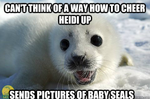 CAN'T THINK OF A WAY HOW TO CHEER HEIDI UP Sends pictures of baby seals  Cute Seal