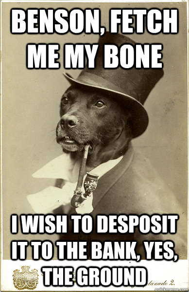 Benson, fetch me my bone I wish to desposit it to the bank, yes, the ground  Old Money Dog