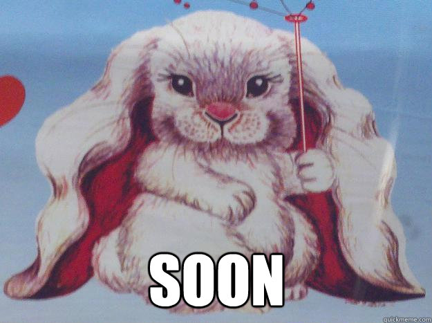  SOON  EVIL RABBIT