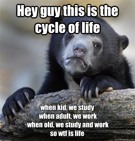 Hey guy this is the cycle of life when kid, we study
 when adult, we work
 when old, we study and work
so wtf is life - Hey guy this is the cycle of life when kid, we study
 when adult, we work
 when old, we study and work
so wtf is life  Confession Bear