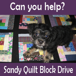 Sandy Quilt Block Drive