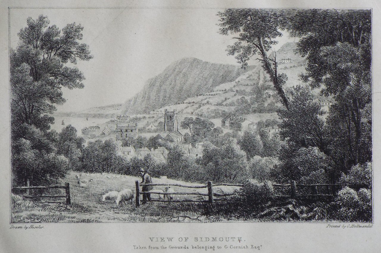 Lithograph - View of Sidmouth. Taken from the Grounds belonging to G. Cornish Esqr. - Haseler