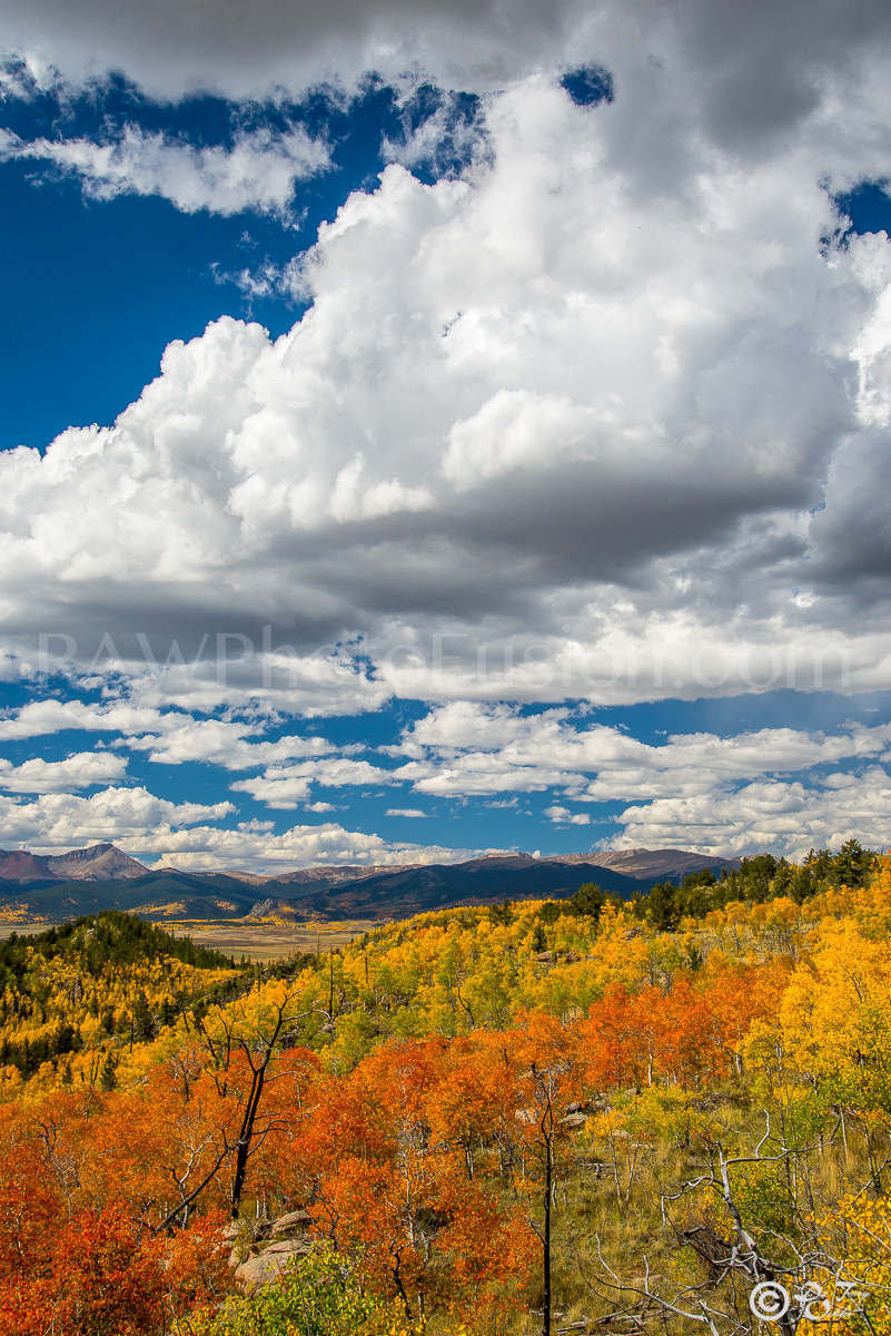 Fall Serenity, Colorado Fall Colors, Fall Colors, Kenosha Pass