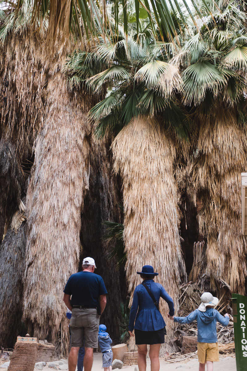 Palm Springs with Kids