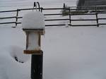 Bird Feeder #2