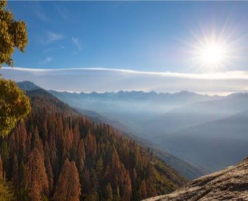 Sequoia National Park