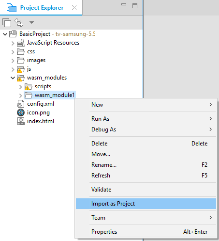 Figure 4. Import WebAssembly Module as a Project