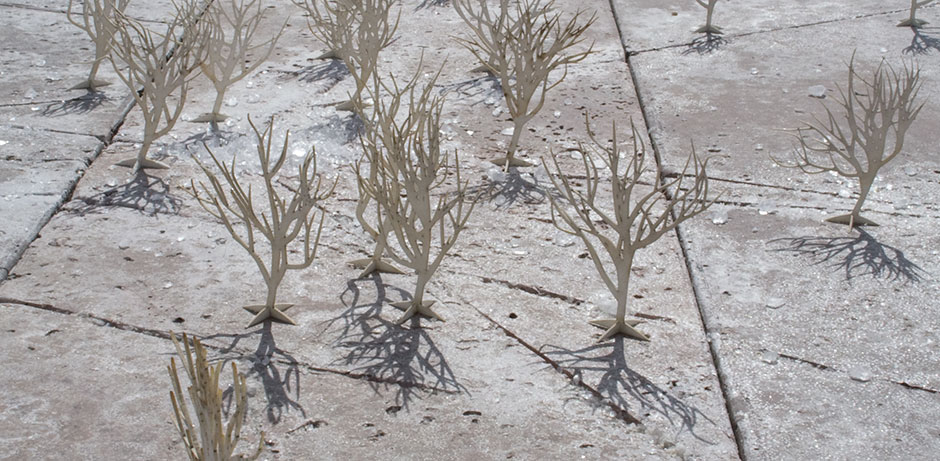 detail of miniature trees